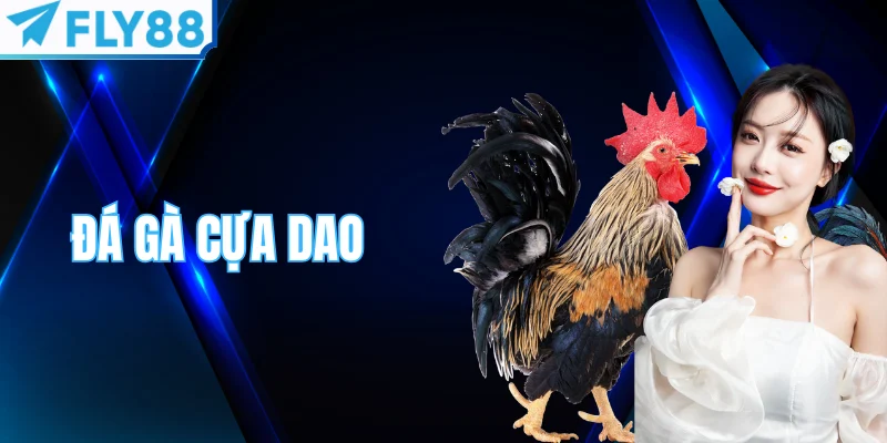 đá gà cựa dao