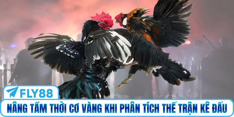 Nâng tầm thời cơ vàng khi phân tích thế trận kê đấu