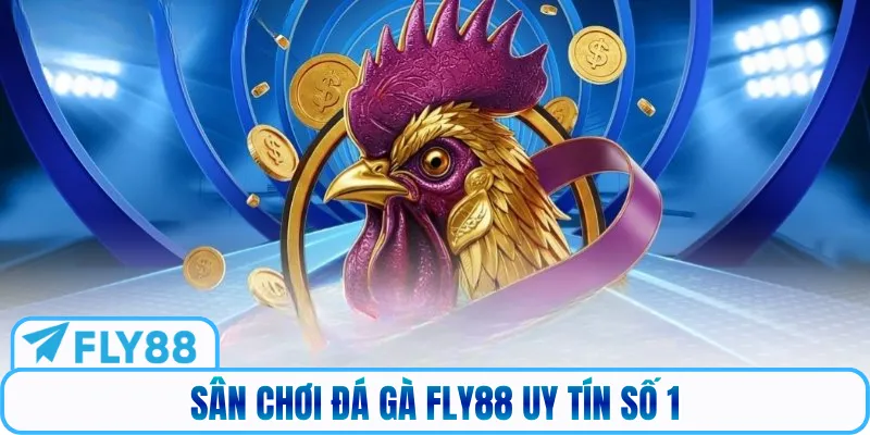 Sân chơi đá gà FLY88 uy tín số 1