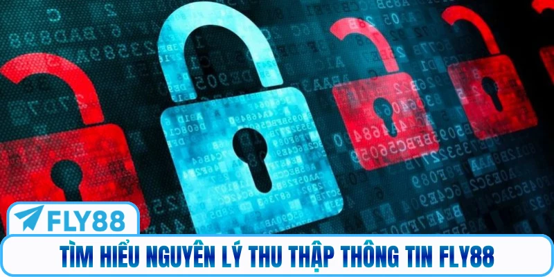 Tìm hiểu nguyên lý thu thập thông tin FLY88