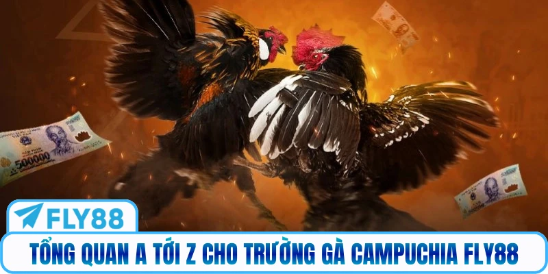 Tổng quan a tới z cho trường gà Campuchia FLY88
