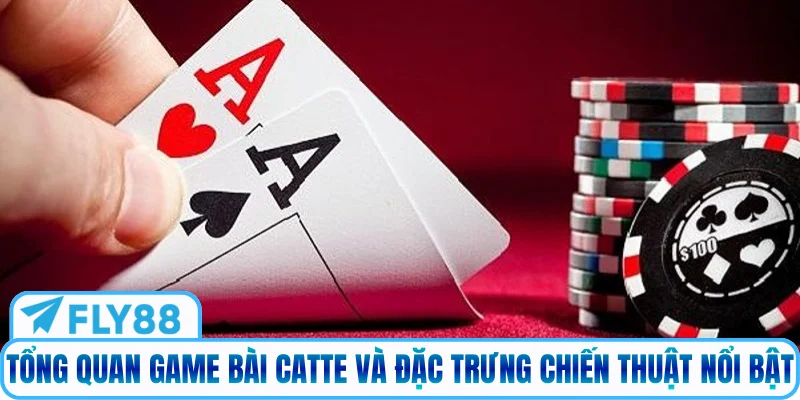 Tổng quan game bài Catte và đặc trưng chiến thuật nổi bật